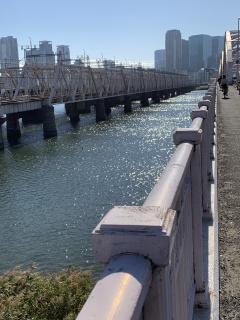 bridge1 bridge1