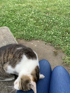 headrub