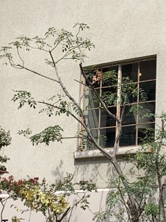 window2