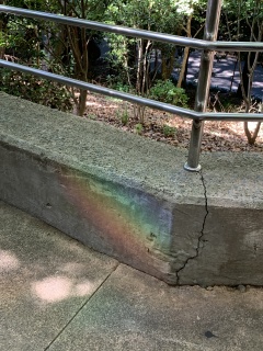 rainbow